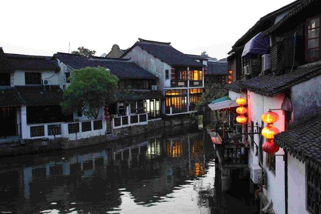饥饿的哈利
